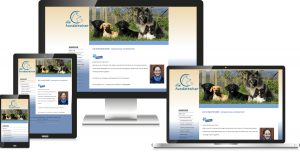 Hundetrainer Coaching Webdesign